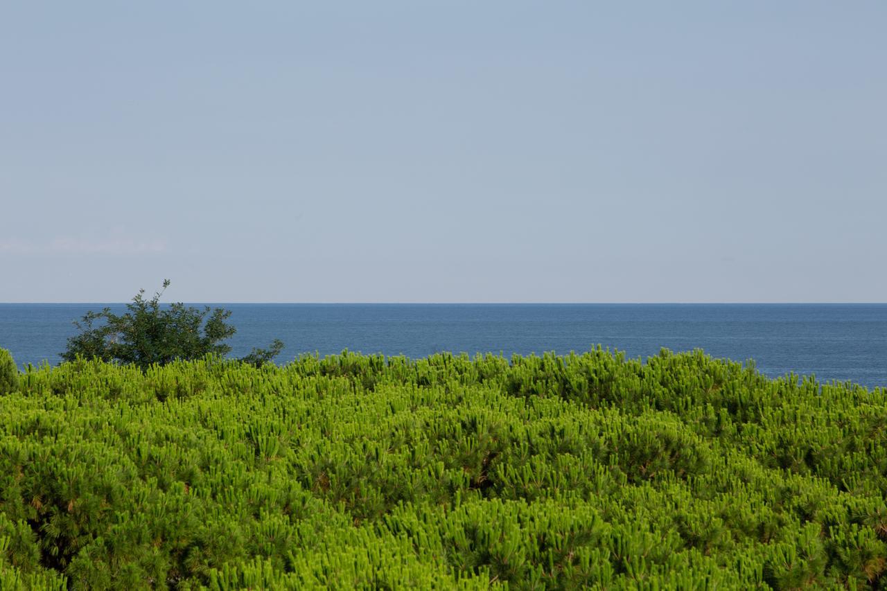 Harvey Suites Hotel & Residence Lido di Jesolo Eksteriør bilde